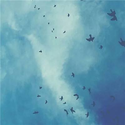 星空体育app下载手机版