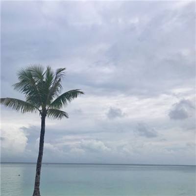 雷竞技下载app官网