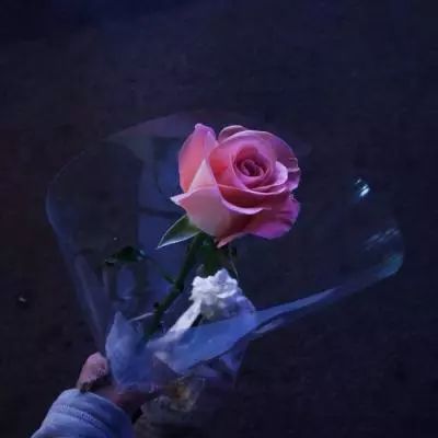 半岛官方网站下载